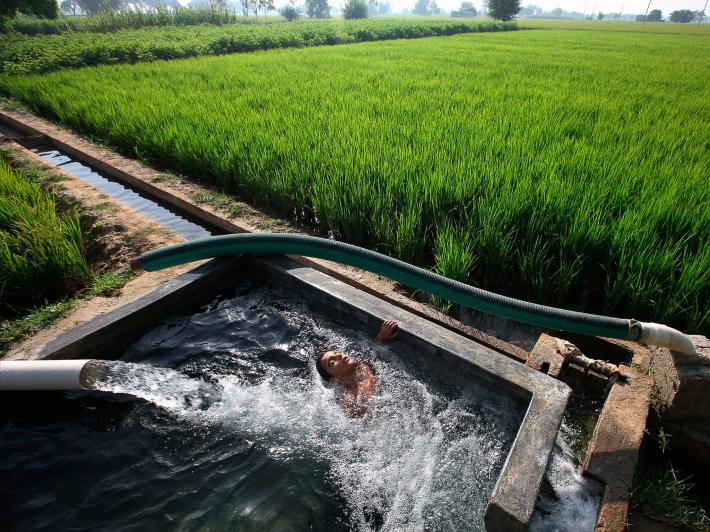 Sustainable Earth: Water